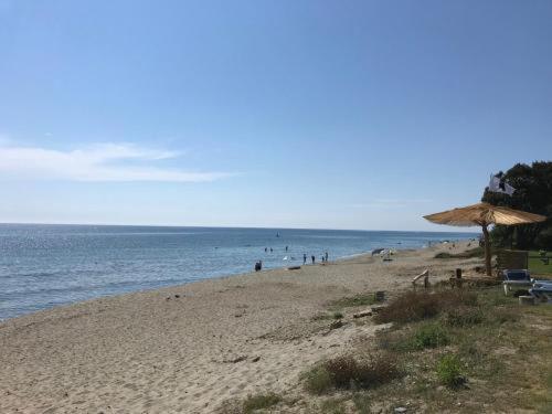 A 5 Mn A Pied De La Mer, Piscine ,Tennis, Paillote Cervione Esterno foto